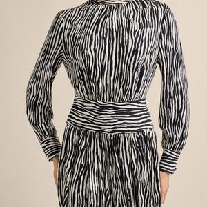 Massimo Dutti Zebra Print Cupro Dress Size 2 Long Sleeve